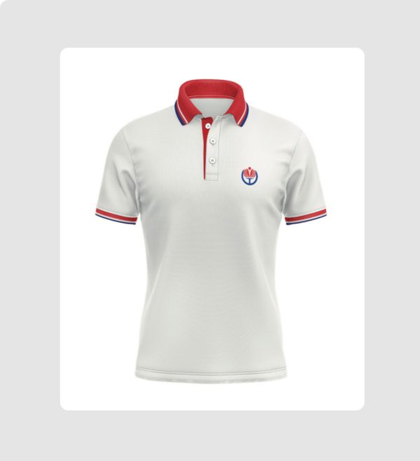 Kısa kol lacoste